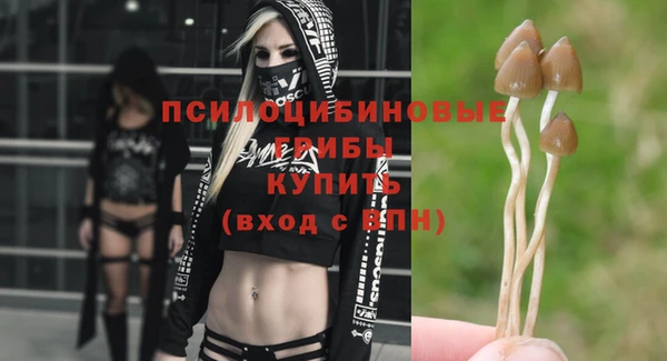a pvp Арсеньев