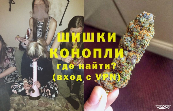 шишки Армянск