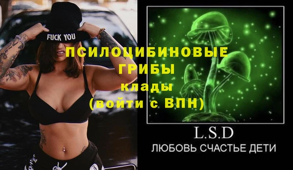 ешки Алексин